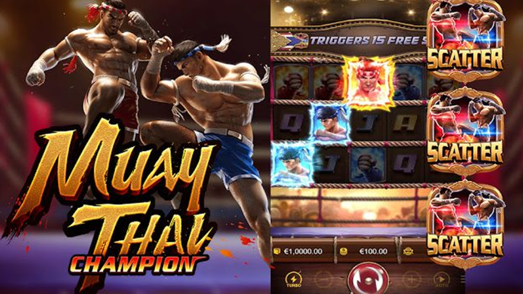 Muay Thai Champion