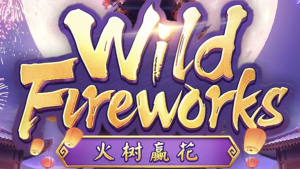 Wild Fireworks