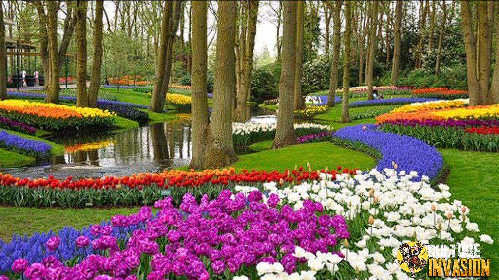 Keukenhof: Surga Bunga yang Menyihir Mata dan Hati!