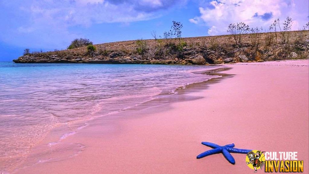 Pantai Pink Lombok: Permata Tersembunyi di Timur Lombok!