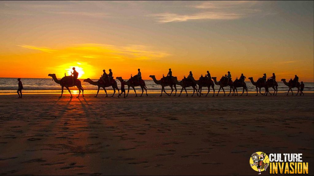 Surga bagi Surfer: Ombak Sempurna Menanti di Cable Beach!