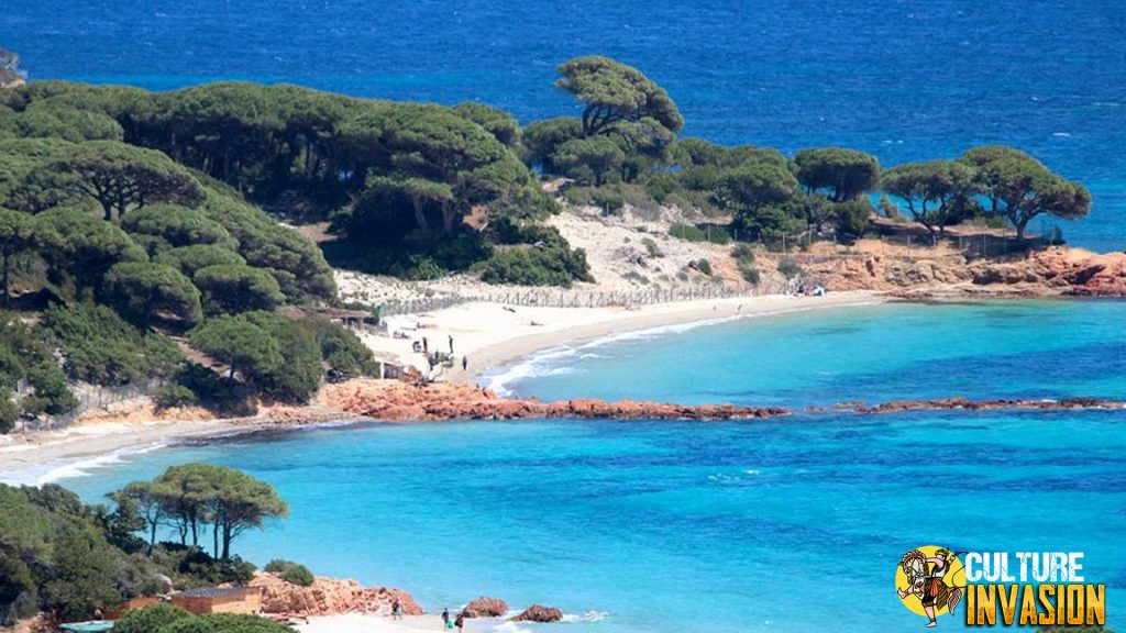 Plage de Palombaggia Pantai Surga yang Membuatmu Lupa Waktu