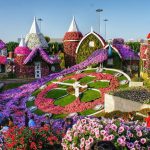 Dubai Miracle Garden: Keajaiban Taman Bunga di Tengah Gurun!