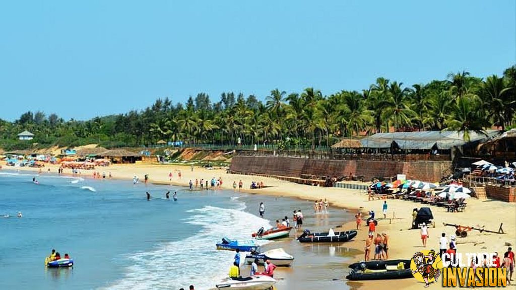 Menjelajahi Pantai Morjim, destinasi eksotis di Goa yang menawarkan keindahan alam, pasir keemasan, dan habitat penyu Olive Ridley.