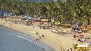 Menjelajahi Pantai Morjim, destinasi eksotis di Goa yang menawarkan keindahan alam, pasir keemasan, dan habitat penyu Olive Ridley.