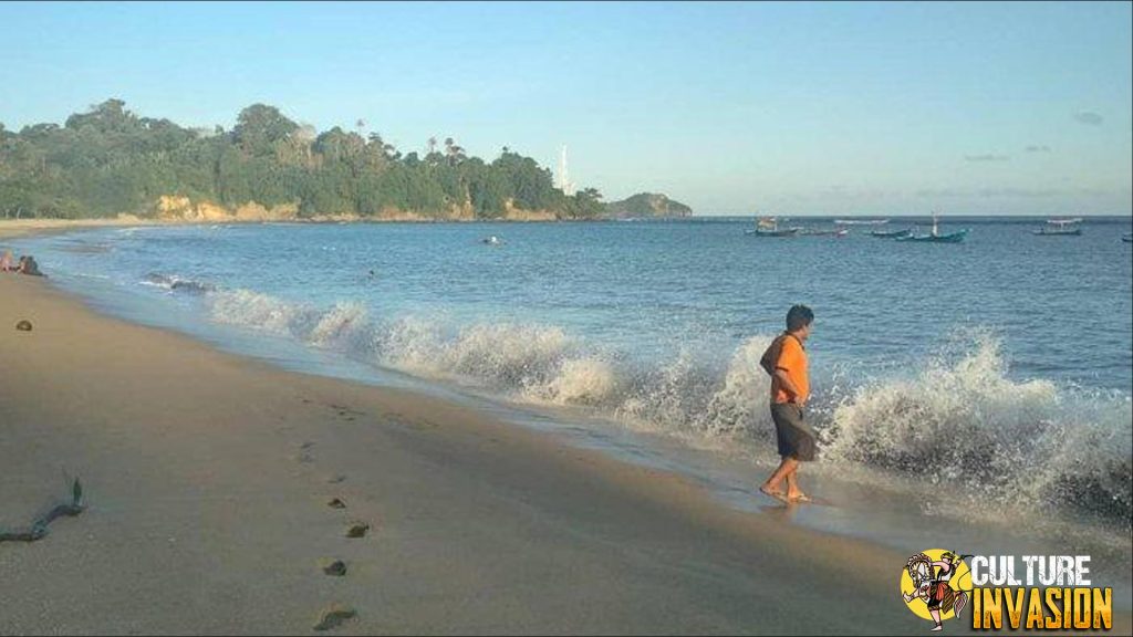 Dunia Bawah Laut yang Memukau di Pantai Tampan Amma!