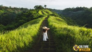 Campuhan Ridge Walk: Keindahan Alam Bali dari Ketinggian!