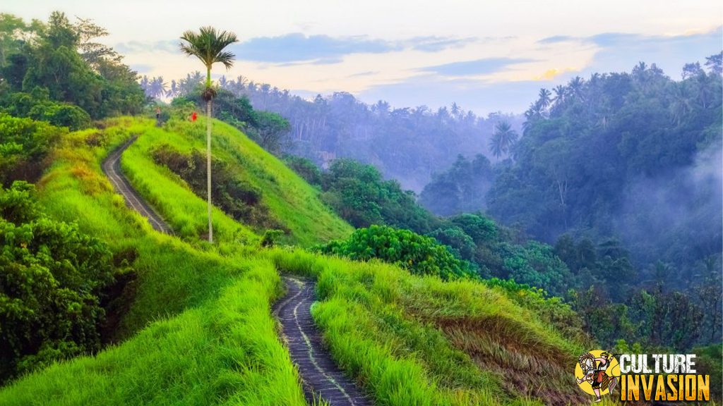 Campuhan Ridge Walk: Keindahan Alam Bali dari Ketinggian!