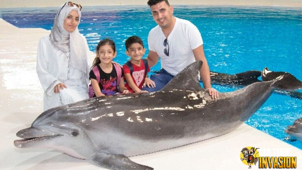 Pesona Dubai Dolphinarium: Atraksi Lumba-Lumba yang Memukau