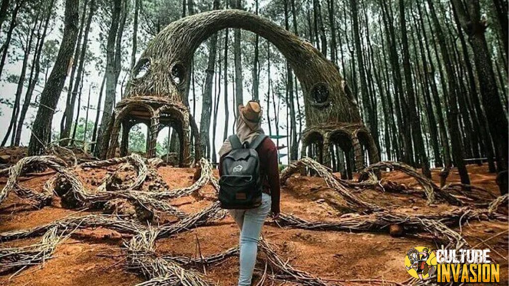 Keindahan Hutan Pinus Pengger yang Memikat Hati Wisatawan!