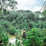 Terbang di Atas Dunia: Wisata Menantang di Real Bali Swing Bali!